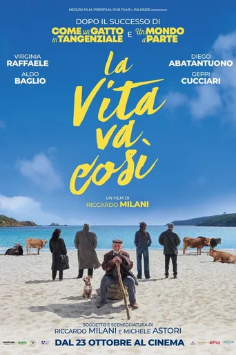 Locandina alternativa di La vita va così