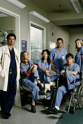 Locandina alternativa di Grey's Anatomy