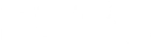 Logo: Furioza